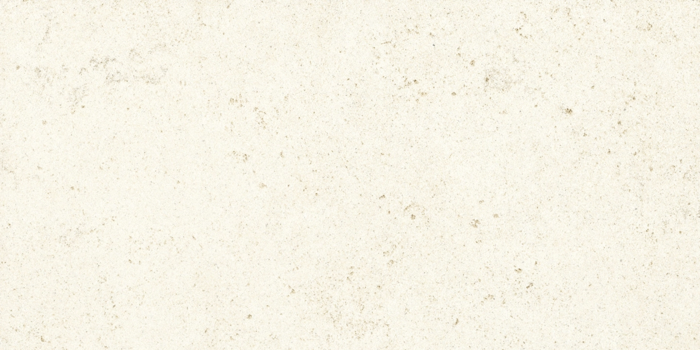 Cotto D'este Buxy Corail Blanc naturalna 50x100 cm gr. 4 mm